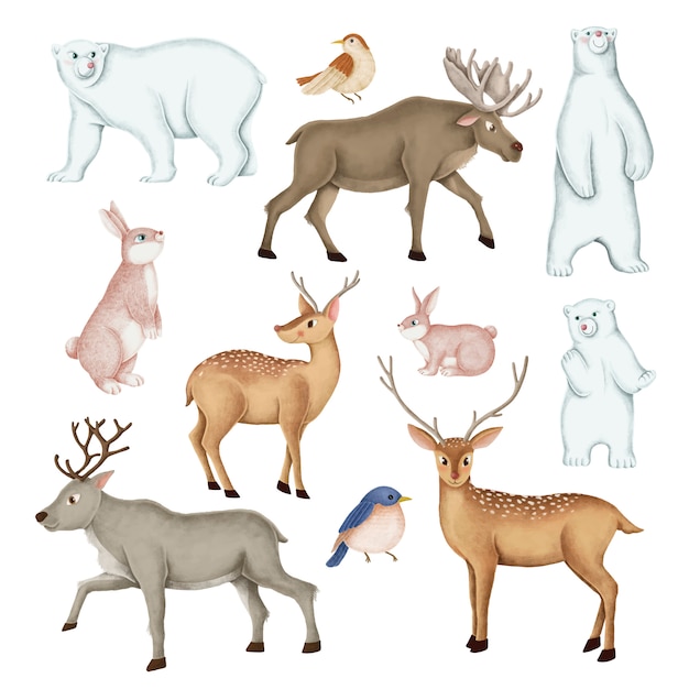 Free Vector hand-drawn wild animal set