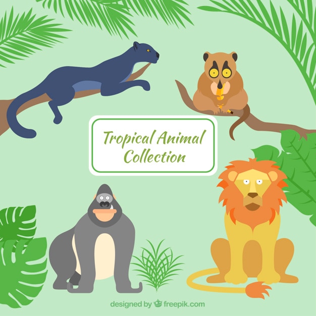 Free Vector hand drawn wild animals in the jungle