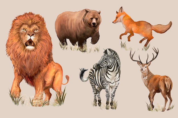 Hand drawn wild animals