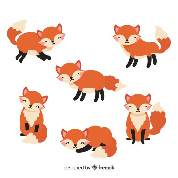 Hand drawn wild fox collection