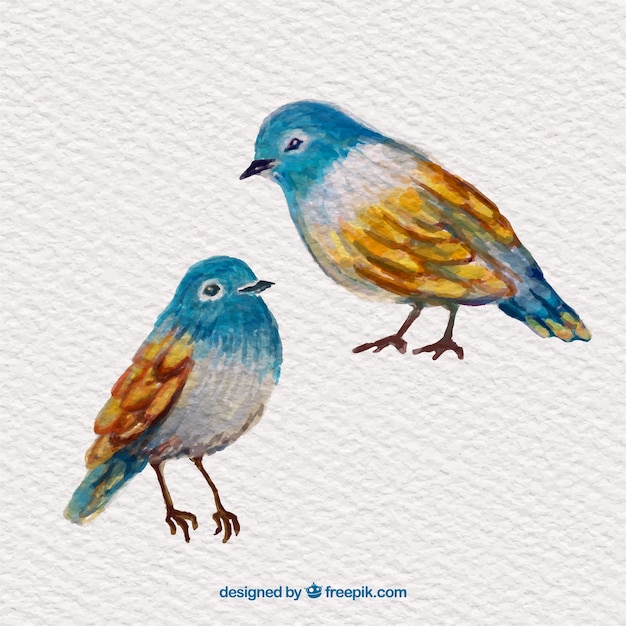 Free Vector hand painted birds