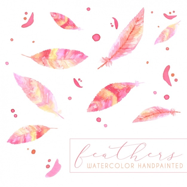 Free Vector hand painted feathers collection