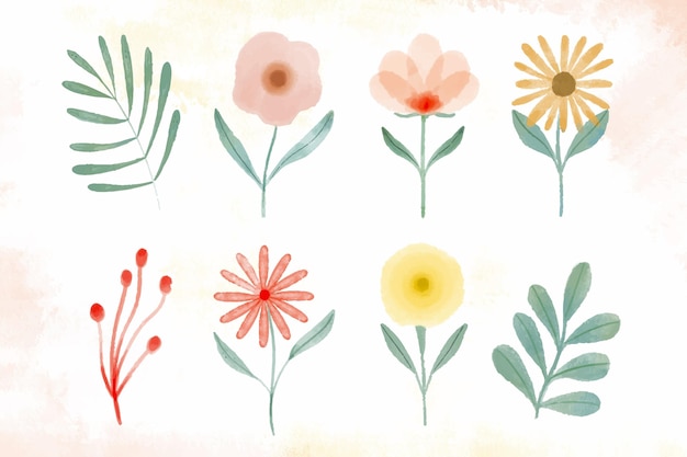 Free Vector hand painted watercolor flowers collection