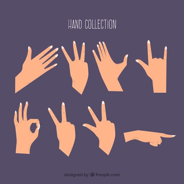 Free Vector hands collection with different poses in flat style