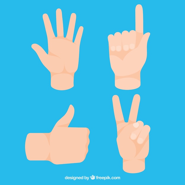 Free Vector hands collection with different poses in flat syle