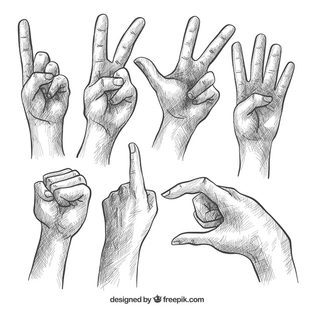 Hands collection with different poses in realistic style