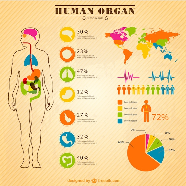 Free Vector healthcare infographic elements set