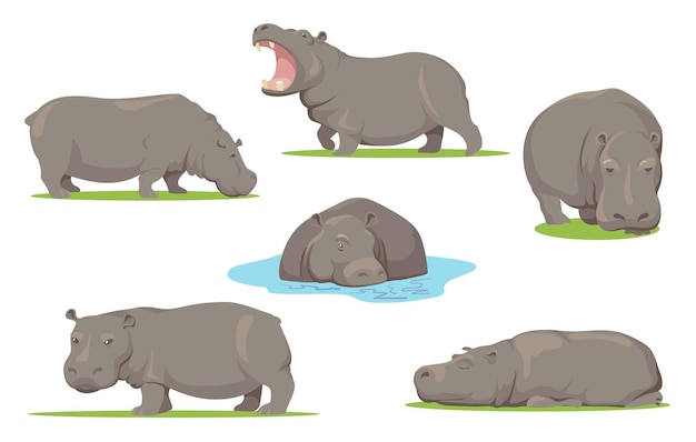 Free Vector hippo in different poses flat set