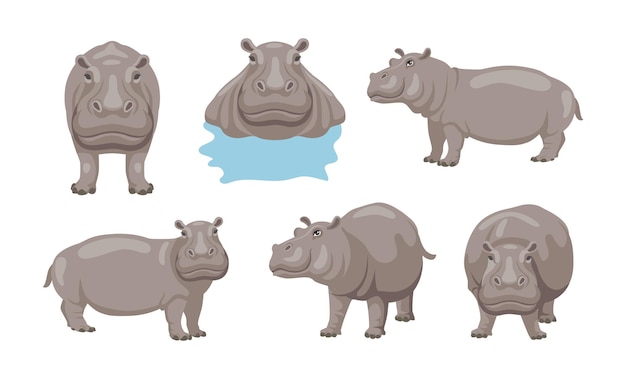 Free Vector hippo doing different activities cartoon illustration set. african animal sitting, swimming in lake or river and standing on white background. zoo, wildlife, wild creature concept