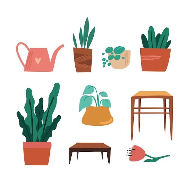 home plants set