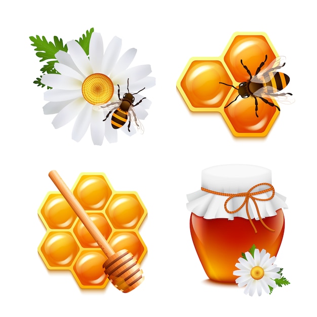 Honey food elements set with daisy bumblebee honeycomb isolated vector illustration