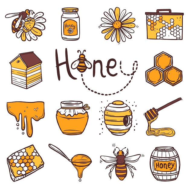 Free Vector honey icons set