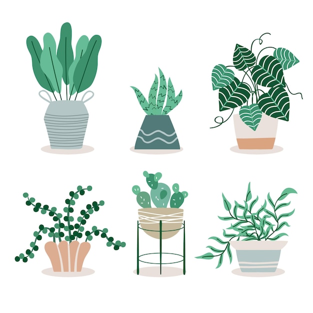 Free Vector houseplant collection illustration