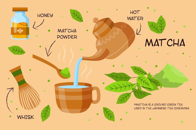 Free Vector how to make matcha tea