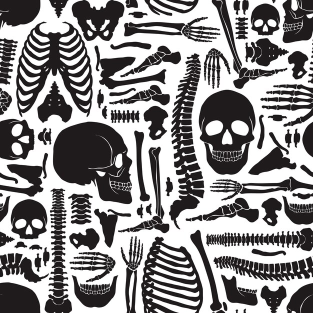 Human Bones Skeleton Pattern