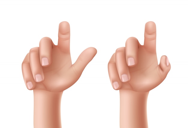 Free Vector human vector hands