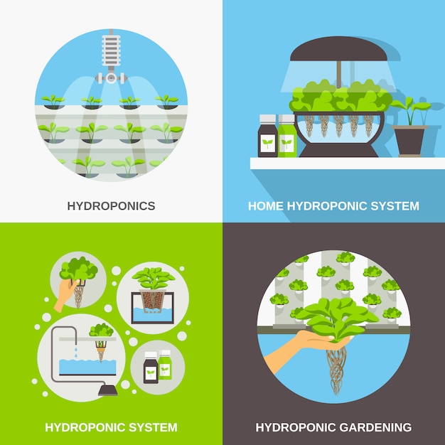 Free Vector hydroponics flat card set