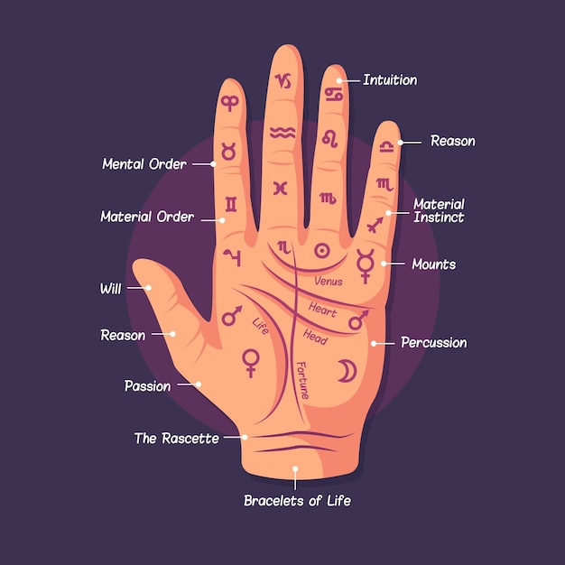 Free Vector illustration of the art of palmistry