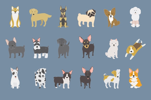 Free Vector illustration of dogs collection