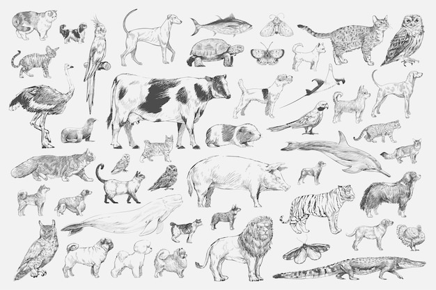 Free Vector illustration drawing style of animal collection