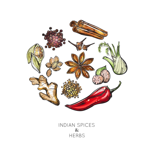 Free Vector indian spices herbs composition