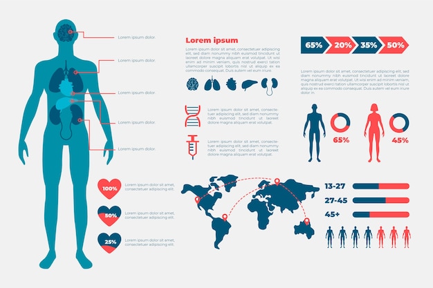 Free Vector infographic healthcare medical