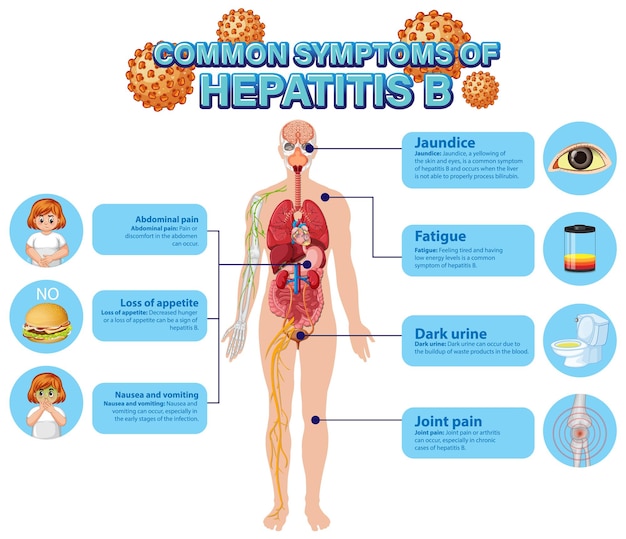 Free Vector informative poster of common symptoms hepatitis b