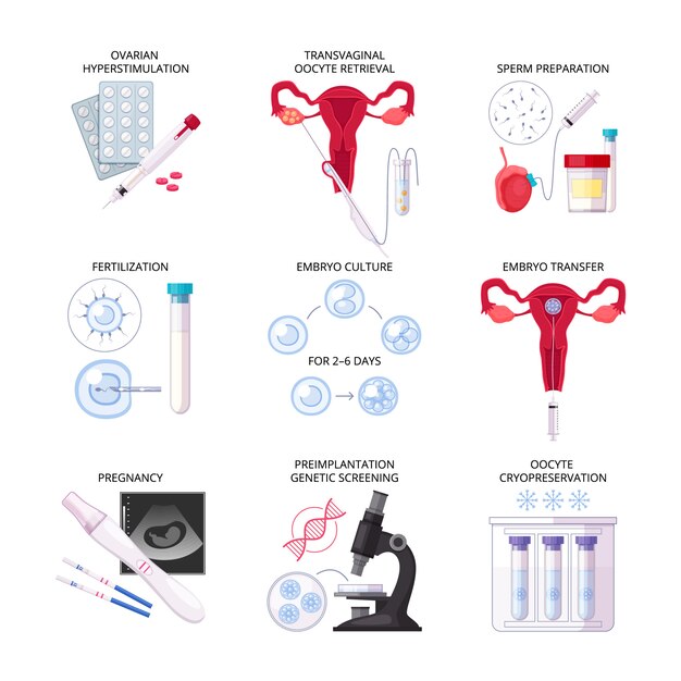 Isolated flat in vitro fertilization IVF icon set with fertilization pregnancy embryo culture transfer and other descriptions