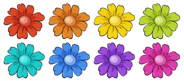 Free vector isolated set of flowers