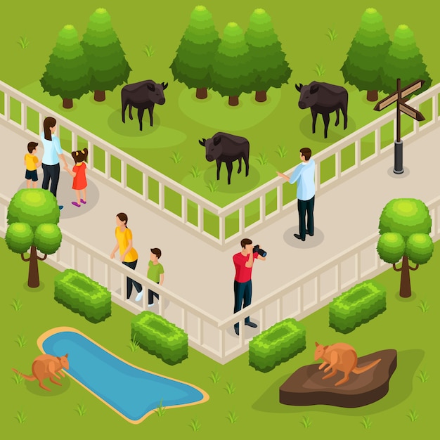 Isometric zoo template with people watching and photographing buffalos and kangaroos 