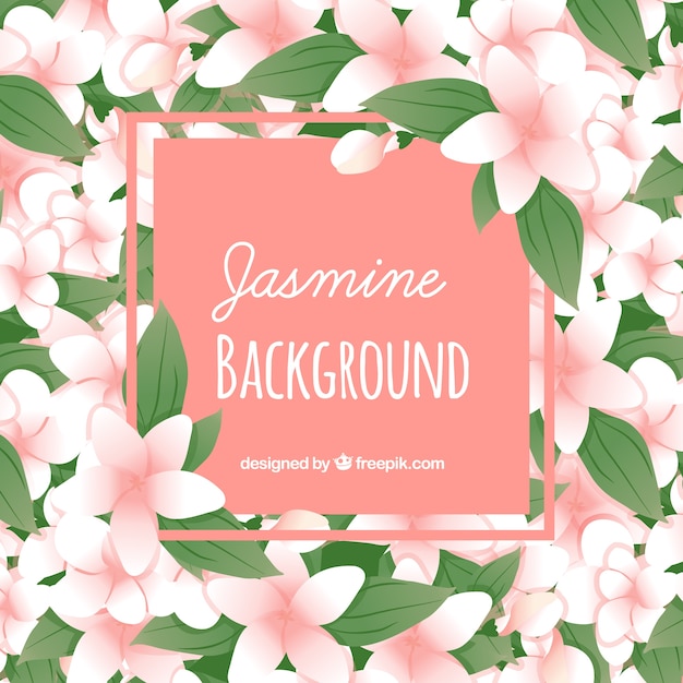 Free Vector jasmine and leaves background