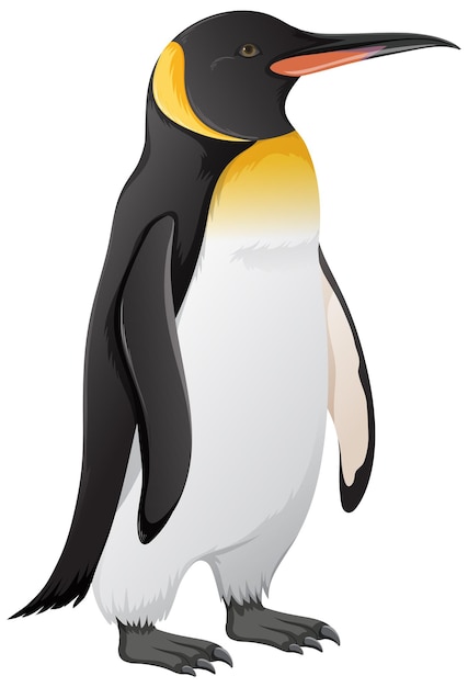 Free vector king penguin on white background