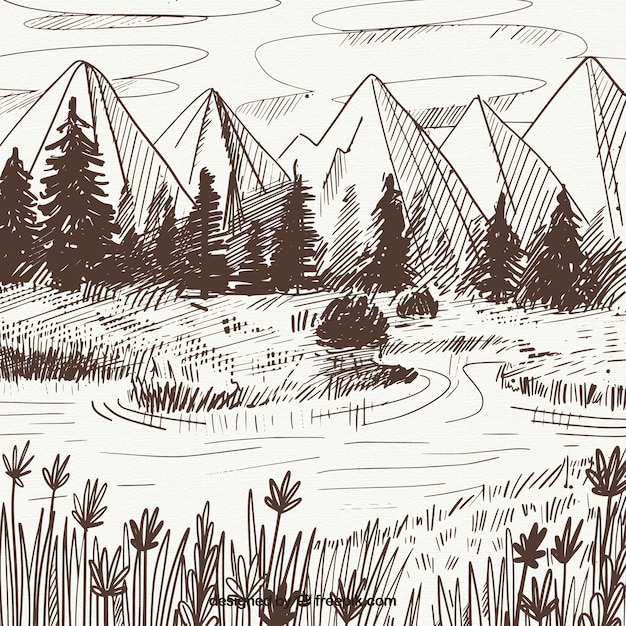 Landscape sketch of mountains and pines