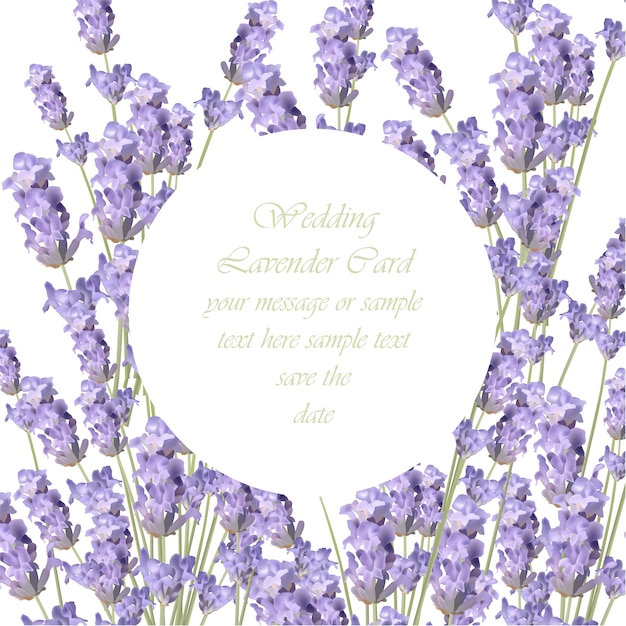 Free Vector lavender frame background