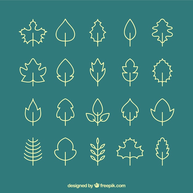 Free Vector leaf icons