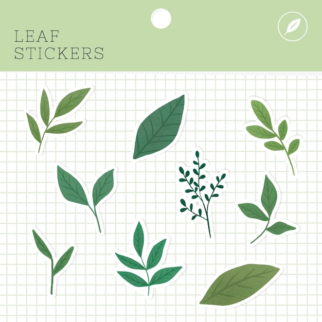 Free Vector leaf stickers package