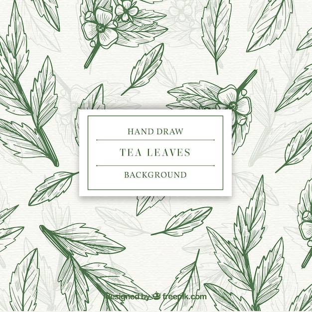 Free Vector leaves background to prepare tea