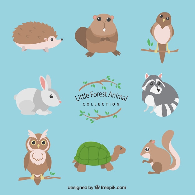 Free Vector little forest animal collection