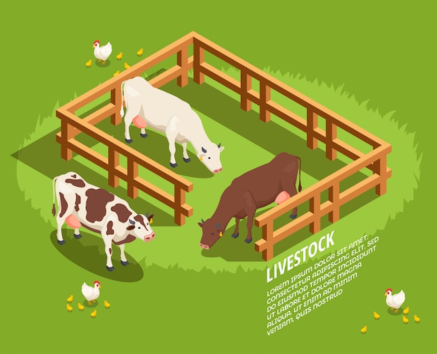 Free Vector livestock isometric scene