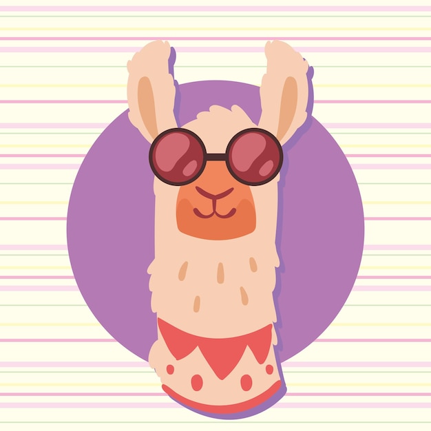 Llama perubian wearing sunglasses