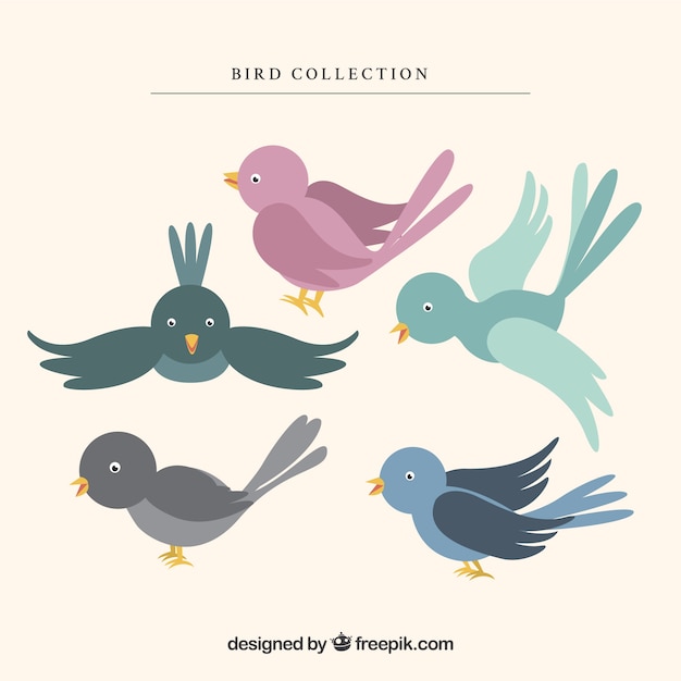 Free Vector lovely bird collection