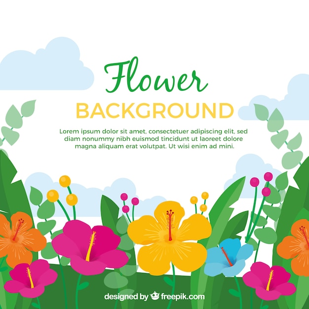 Free Vector lovely floral background with flat design