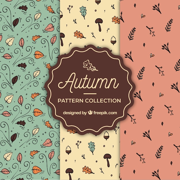 Free Vector lovely set of hand drawn autumn patterns