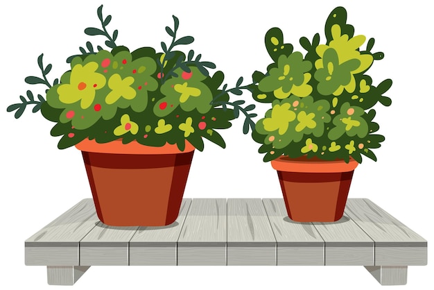 Free Vector lush potted plants on wooden bench