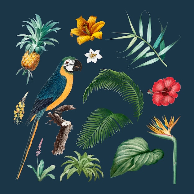 Free Vector macaw foliage illustration