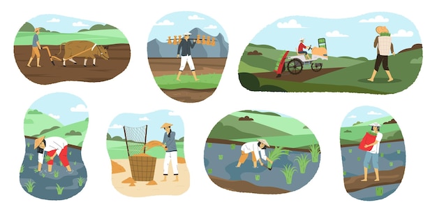 Free vector male and female asian farmers ploughing and harvesting flat compositions set isolated vector illustration