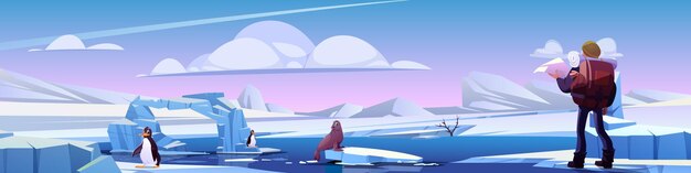 Man hiker in north cartoon vector background Tourist with large backpack stands on snow and frozen ice covered landscape next to penguins and sea lion Wildlife researcher meets northern animals