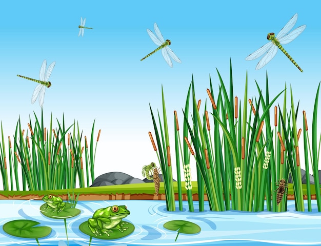 Free Vector many green frogs and dragonfly in the pond scene