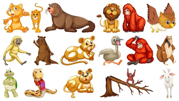 Many wild animals on white background