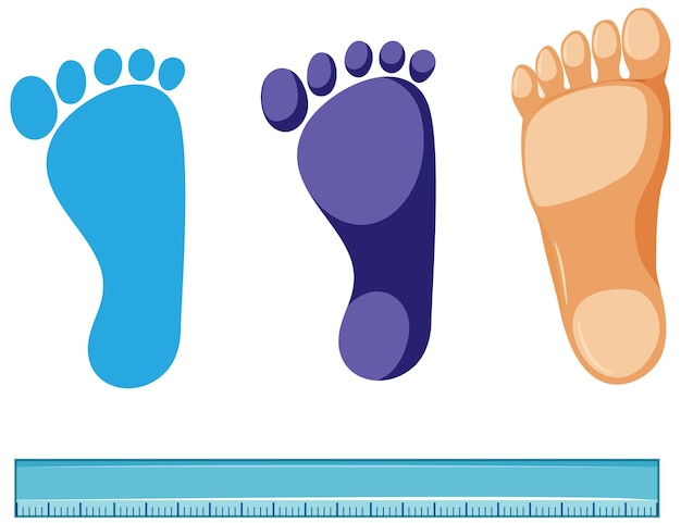 Free Vector measuring foot size vector